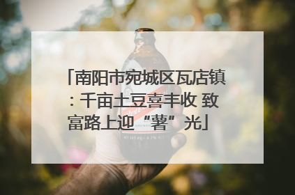 南阳市宛城区瓦店镇：千亩土豆喜丰收 致富路上迎“薯”光