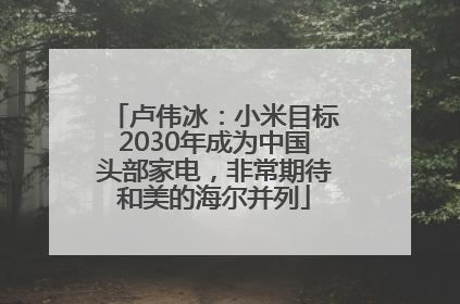 卢伟冰：小米目标2030年成为中国头部家电，非常期待和美的海尔并列