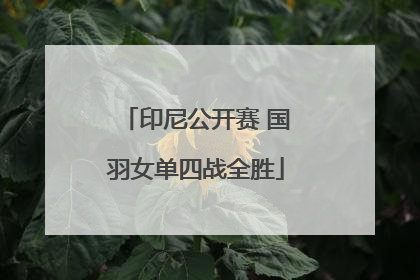 印尼公开赛 国羽女单四战全胜
