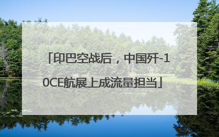 印巴空战后，中国歼-10CE航展上成流量担当