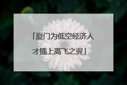 厦门为低空经济人才插上高飞之翼