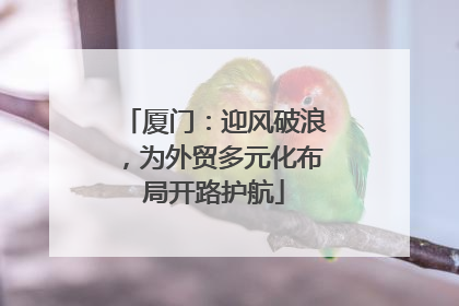 厦门：迎风破浪，为外贸多元化布局开路护航