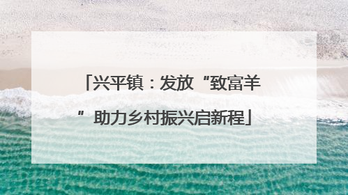 兴平镇：发放“致富羊”助力乡村振兴启新程