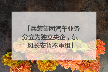 兵装集团汽车业务分立为独立央企，东风长安暂不重组