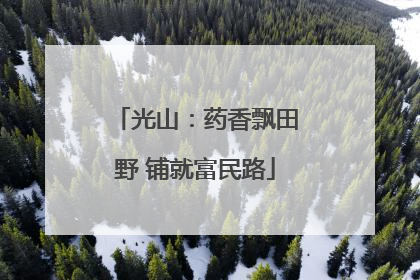 光山：药香飘田野 铺就富民路