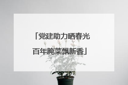 党建助力晒春光 百年腌菜飘新香