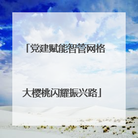 党建赋能智管网格 大樱桃闪耀振兴路