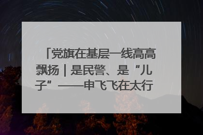 党旗在基层一线高高飘扬｜是民警、是“儿子”——申飞飞在太行山中的一线坚守