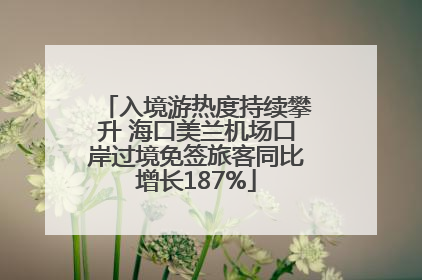 入境游热度持续攀升 海口美兰机场口岸过境免签旅客同比增长187%