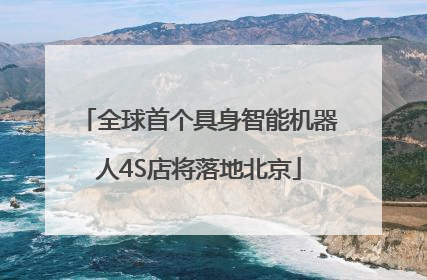 全球首个具身智能机器人4S店将落地北京