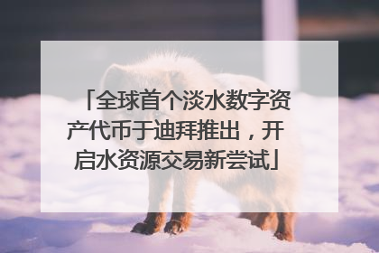 全球首个淡水数字资产代币于迪拜推出，开启水资源交易新尝试