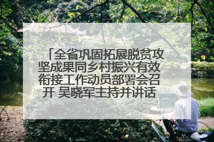 全省巩固拓展脱贫攻坚成果同乡村振兴有效衔接工作动员部署会召开 吴晓军主持并讲话 罗东川作安排部署