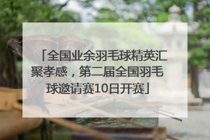 全国业余羽毛球精英汇聚孝感，第二届全国羽毛球邀请赛10日开赛