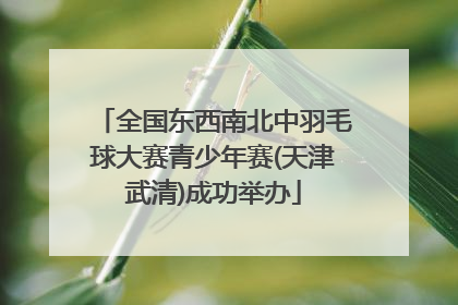 全国东西南北中羽毛球大赛青少年赛(天津武清)成功举办
