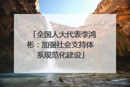 全国人大代表李鸿彬：加强社会支持体系规范化建设