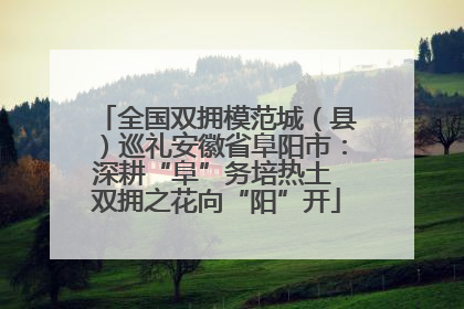 全国双拥模范城（县）巡礼安徽省阜阳市：深耕“阜”务培热土 双拥之花向“阳”开