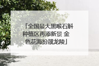 全国最大黑喉石斛种植区再添新景 金色花海扮靓龙陵