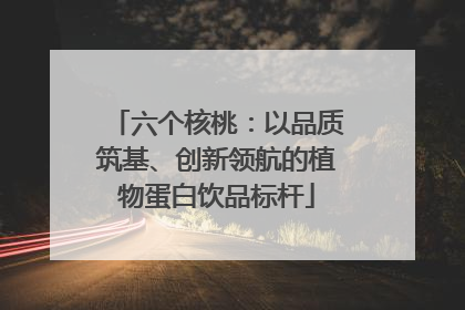 六个核桃：以品质筑基、创新领航的植物蛋白饮品标杆