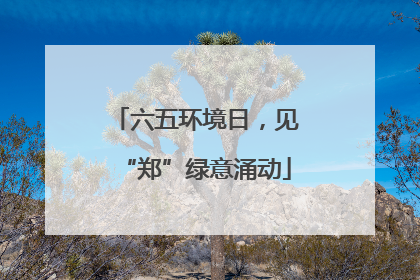 六五环境日，见“郑”绿意涌动