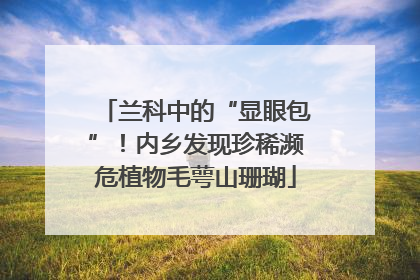 兰科中的“显眼包”！内乡发现珍稀濒危植物毛萼山珊瑚
