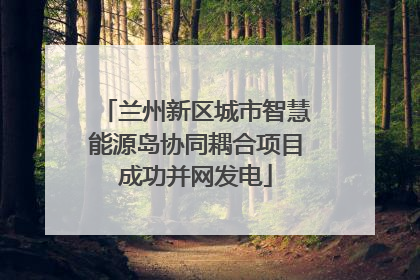 兰州新区城市智慧能源岛协同耦合项目成功并网发电