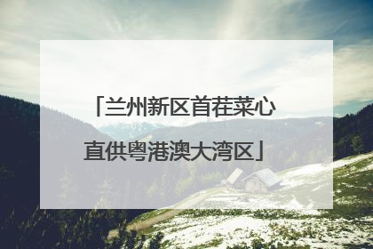 兰州新区首茬菜心直供粤港澳大湾区