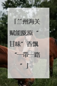 兰州海关赋能陇原“甘味”香飘“一带一路”