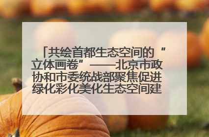 共绘首都生态空间的“立体画卷”——北京市政协和市委统战部聚焦促进绿化彩化美化生态空间建设联合协商议政