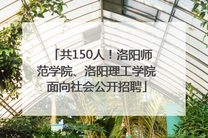 共150人！洛阳师范学院、洛阳理工学院面向社会公开招聘