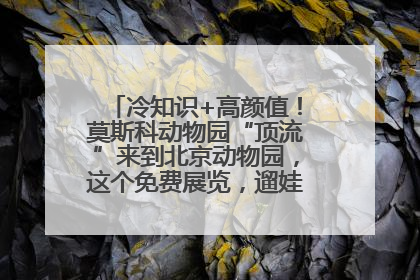 冷知识+高颜值！莫斯科动物园“顶流”来到北京动物园，这个免费展览，遛娃拍照两不误！