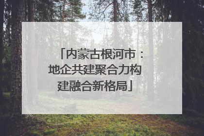 内蒙古根河市：地企共建聚合力构建融合新格局