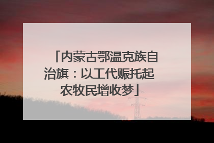 内蒙古鄂温克族自治旗：以工代赈托起农牧民增收梦
