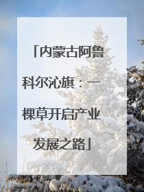内蒙古阿鲁科尔沁旗：一棵草开启产业发展之路