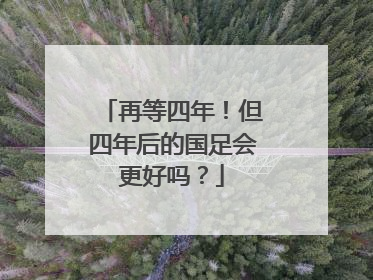 再等四年！但四年后的国足会更好吗？