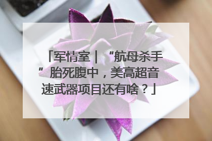 军情室｜“航母杀手”胎死腹中，美高超音速武器项目还有啥？