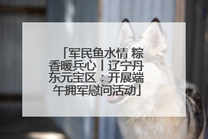 军民鱼水情 粽香暖兵心丨辽宁丹东元宝区：开展端午拥军慰问活动