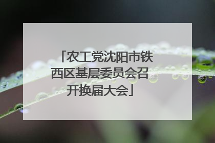 农工党沈阳市铁西区基层委员会召开换届大会