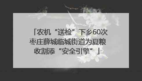 农机“送检”下乡60次 枣庄薛城临城街道为夏粮收割添“安全引擎”