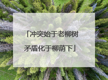 冲突始于老柳树 矛盾化于柳荫下