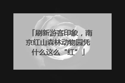 刷新游客印象，南京红山森林动物园凭什么这么“红”