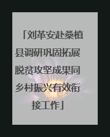 刘革安赴桑植县调研巩固拓展脱贫攻坚成果同乡村振兴有效衔接工作