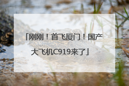 刚刚！首飞厦门！国产大飞机C919来了