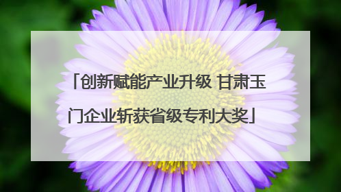 创新赋能产业升级 甘肃玉门企业斩获省级专利大奖