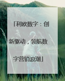 利欧数字：创新驱动，领航数字营销浪潮