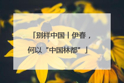 别样中国丨伊春，何以“中国林都”