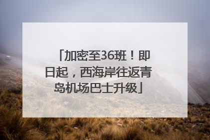 加密至36班！即日起，西海岸往返青岛机场巴士升级