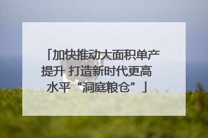 加快推动大面积单产提升 打造新时代更高水平“洞庭粮仓”