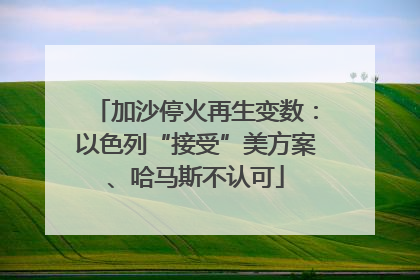 加沙停火再生变数：以色列“接受”美方案、哈马斯不认可