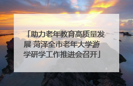 助力老年教育高质量发展 菏泽全市老年大学游学研学工作推进会召开