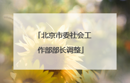 北京市委社会工作部部长调整